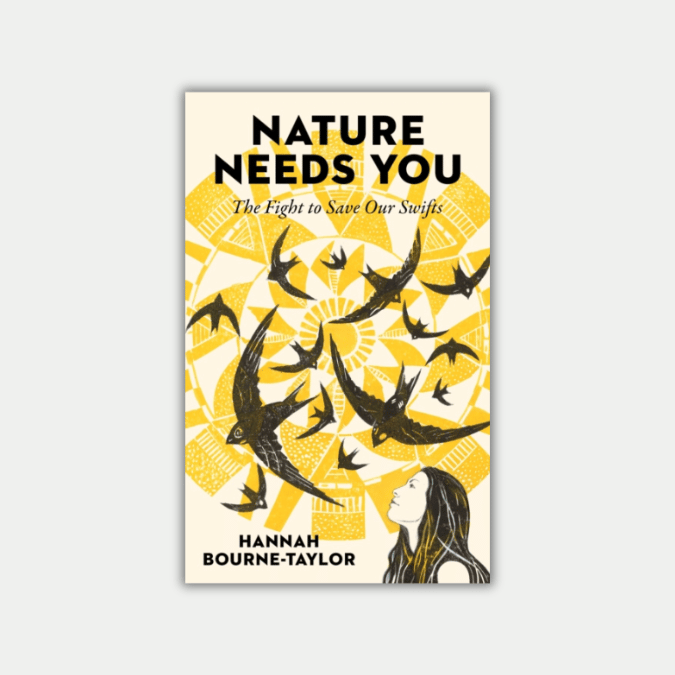 nature-needs-you-the-fight-to-save-our-swifts-by-hannah-bourne-taylor