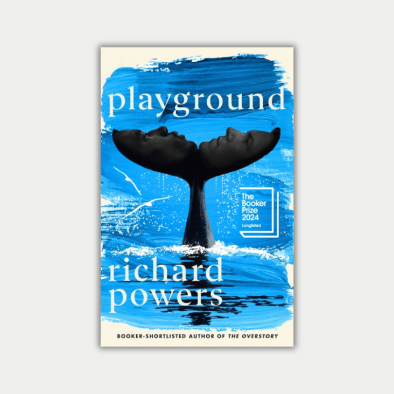 Playground by richard powers folde dorset