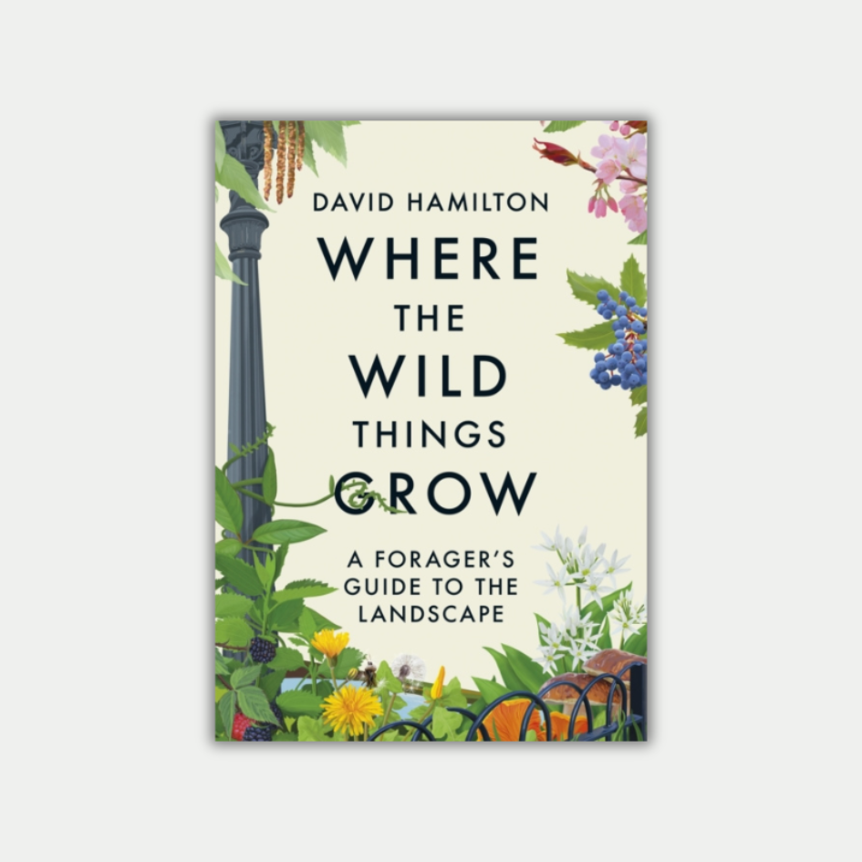 where-the-wild-things-grow-by-david-hamilton-folde-dorset